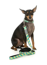 Bananarama Dog Lead -FINAL SALE NO RETURNS OR EXCHANGES